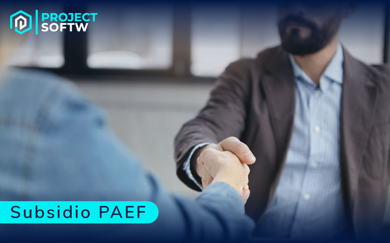 Subsidio PAEF ProjectSoftW