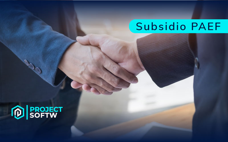 Subsidio PAEF ProjectSoftw